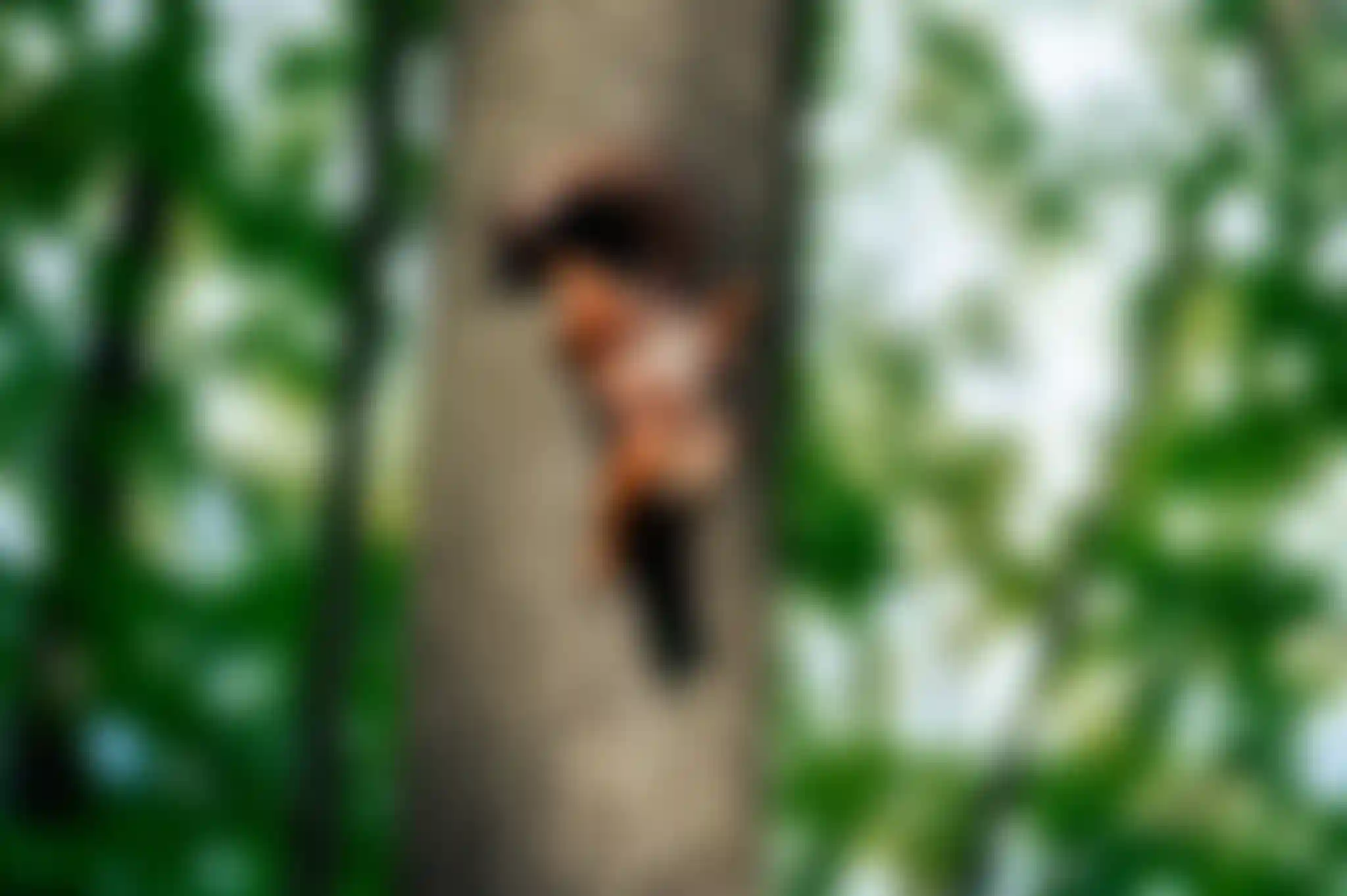 изображения инфраструктуры