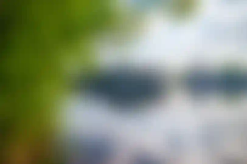 <p>Путь легкости</p>