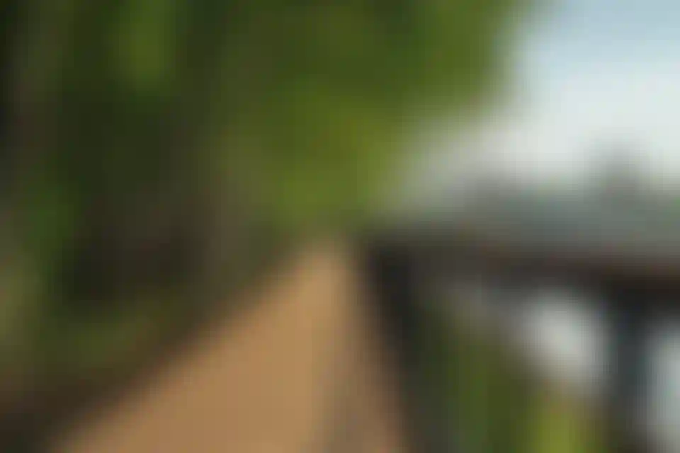 Лайфстайл-5