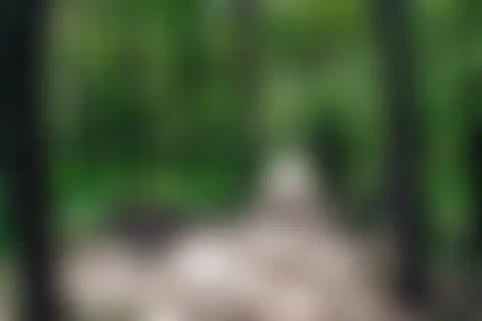 Лайфстайл-7