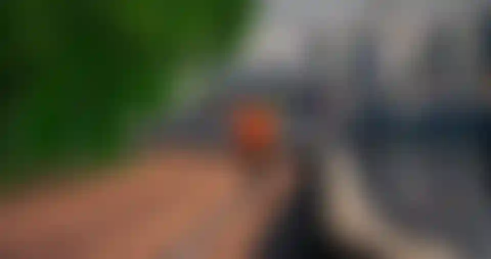 <p>Спорт в «Северное Тушино»</p>