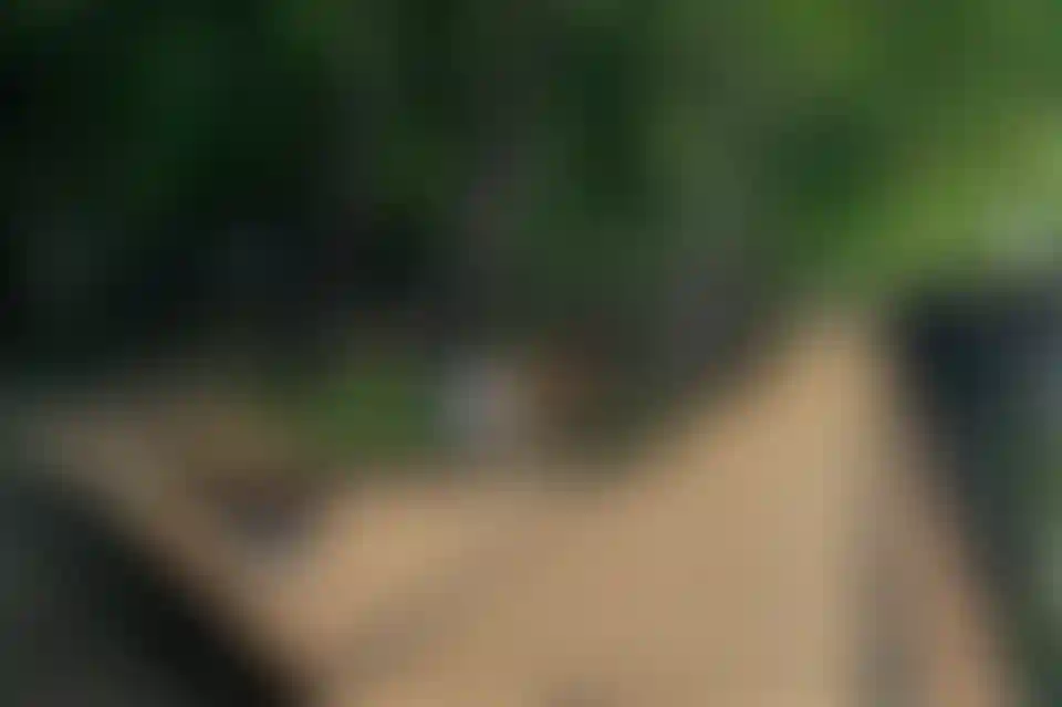 <p>Беговая и велозона на набережной</p>