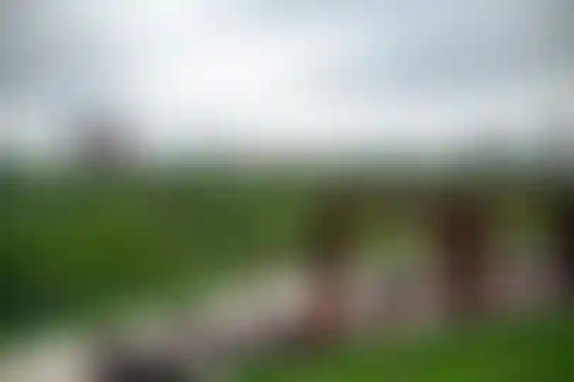 Лайфстайл-11