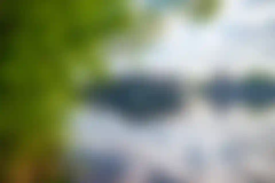 Лайфстайл-1